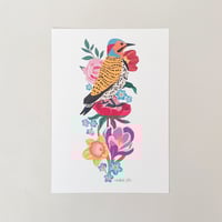 Image 1 of Northern Flicker with Multi Flowers Art Print