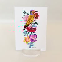 Image 4 of Northern Flicker with Multi Flowers Art Print