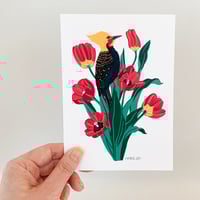 Image 2 of Blonde Crested Woodpecker with Tulips Art Print