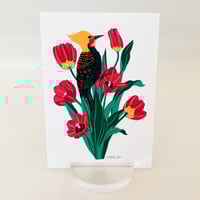 Image 4 of Blonde Crested Woodpecker with Tulips Art Print
