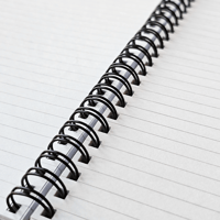 Image 2 of Parasaur Spiral Notebook