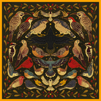 Image 5 of Backyard Birds Woven Blanket