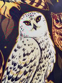 Image 5 of North American Owls Tapestry