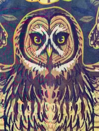 Image 4 of North American Owls Tapestry