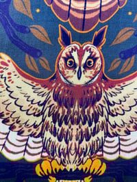 Image 7 of North American Owls Bandana