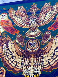 Image 6 of North American Owls Bandana