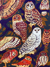 Image 8 of North American Owls Bandana