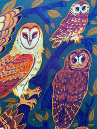 Image 9 of North American Owls Bandana