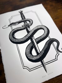 Image 3 of Black Venom