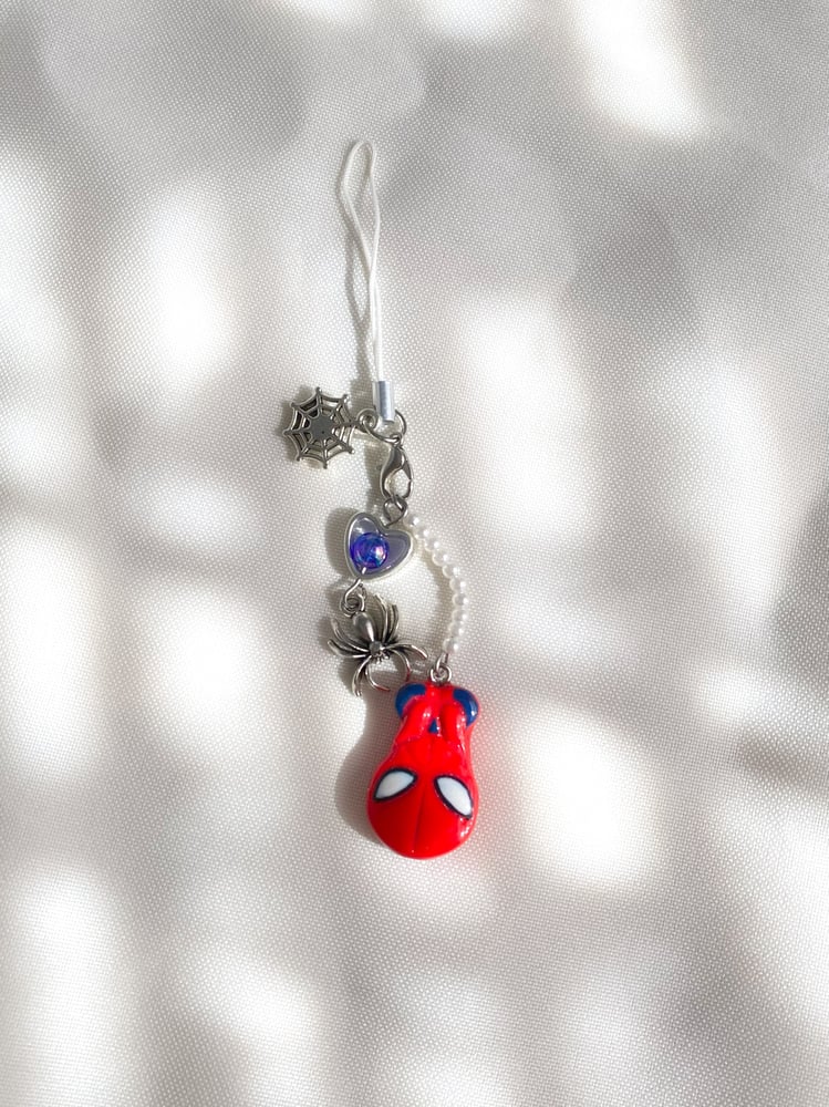 Image of spidey charm