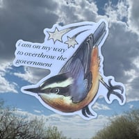 Image 1 of mischievous nuthatch sticker