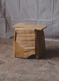 Image 1 of ESSI 016