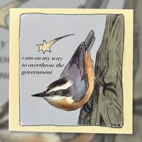 mischevious nuthatch print