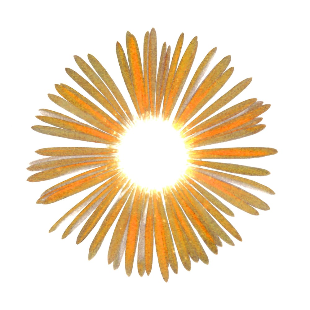 Imanuel Tulpenstiel – Invisible (LP)