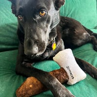 Image 1 of 👑The Armored Kingdom Barkbreaker Axe Squeaky Dog Chew Toy