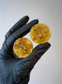 Image 1 of 34MM (1.34") Plugs - Epoxy Resin Plugs - PAIR - Golden Beetle Plugs - One of a kind - Stretched Ears