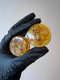 Image 2 of 34MM (1.34") Plugs - Epoxy Resin Plugs - PAIR - Golden Beetle Plugs - One of a kind - Stretched Ears