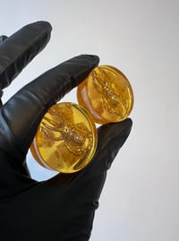 Image 3 of 34MM (1.34") Plugs - Epoxy Resin Plugs - PAIR - Golden Beetle Plugs - One of a kind - Stretched Ears