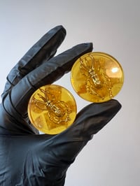 Image 4 of 34MM (1.34") Plugs - Epoxy Resin Plugs - PAIR - Golden Beetle Plugs - One of a kind - Stretched Ears