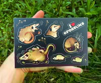 Image 1 of Opossums Sticker Sheet 4 x 6”