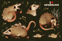 Image 2 of Opossums Sticker Sheet 4 x 6”