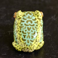 Image 2 of Spotted Toad