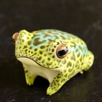 Image 3 of Spotted Toad