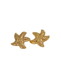 Seaside Star Earrings