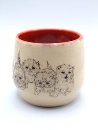 Image 1 of the council has decided little cup