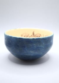 Image 4 of the council has decided bowl