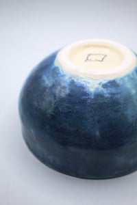 Image 3 of the council has decided bowl