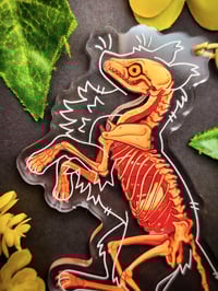 Image 2 of Transparent Fox Skeleton Acrylic Keychain