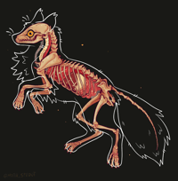 Image 3 of Transparent Fox Skeleton Acrylic Keychain