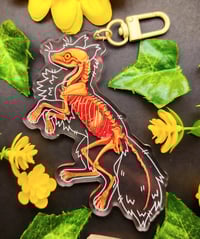 Image 1 of Transparent Fox Skeleton Acrylic Keychain