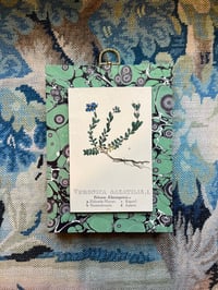 Image 1 of Green Botanical Spanish Block