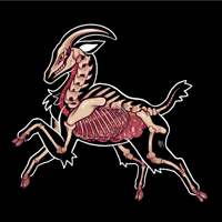 Image 3 of Goat Skeleton Double-Sided Acrylic Keychain