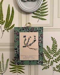 Image 2 of Green Botanical Spanish Block