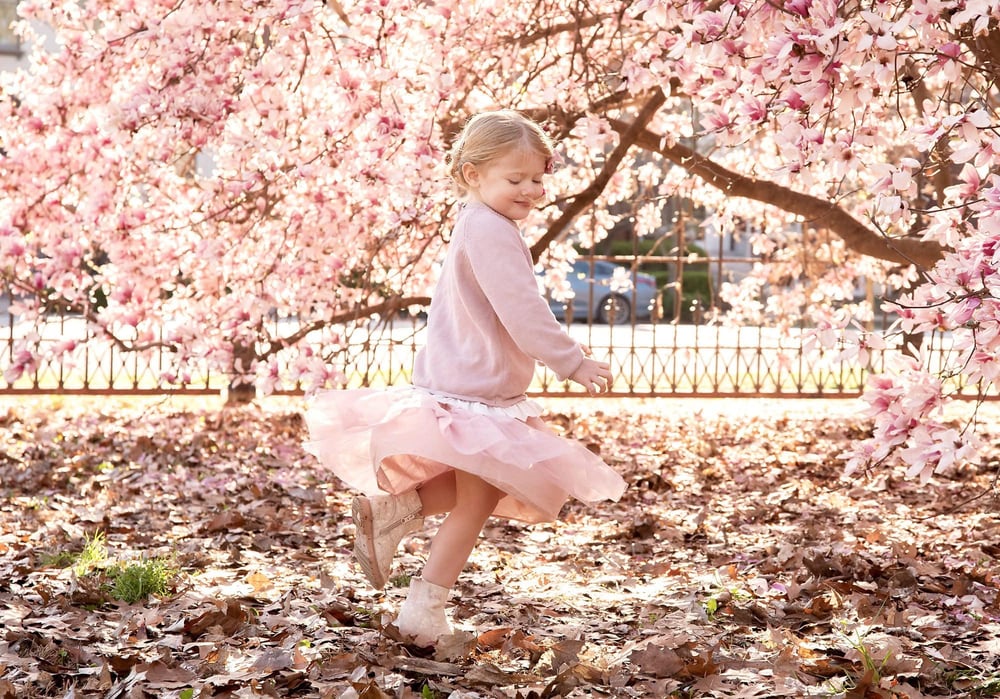 Image of Spring 2025 Mini sessions.
