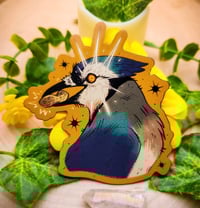 Image 1 of Blue Jay Magnet