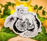 Image 1 of Ferret on a Fig Magnet