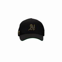 Image 1 of Oakland Ai