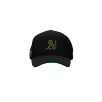 Image 3 of Oakland Ai