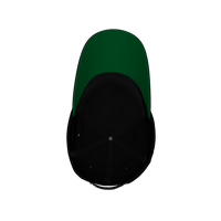 Image 5 of Oakland Ai