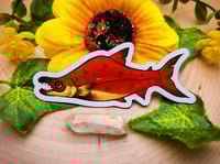 Image 1 of Sockeye Salmon Magnet
