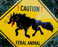 Image 2 of Feral Animal Metal Sign (Embossed)