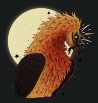 Image 3 of Bearded Vulture Sticker