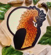 Image 1 of Bearded Vulture Sticker
