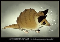 Image 3 of Fat Tailed Dunnart Sticker