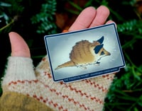 Image 2 of Fat Tailed Dunnart Sticker