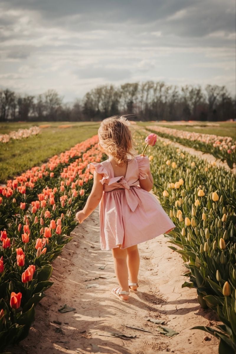 Tulip Field Minis